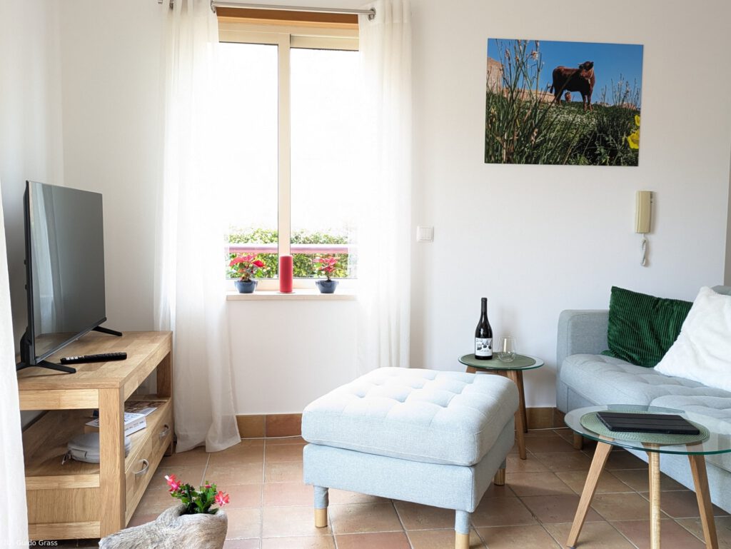 Wohnbereich mit Fernseher